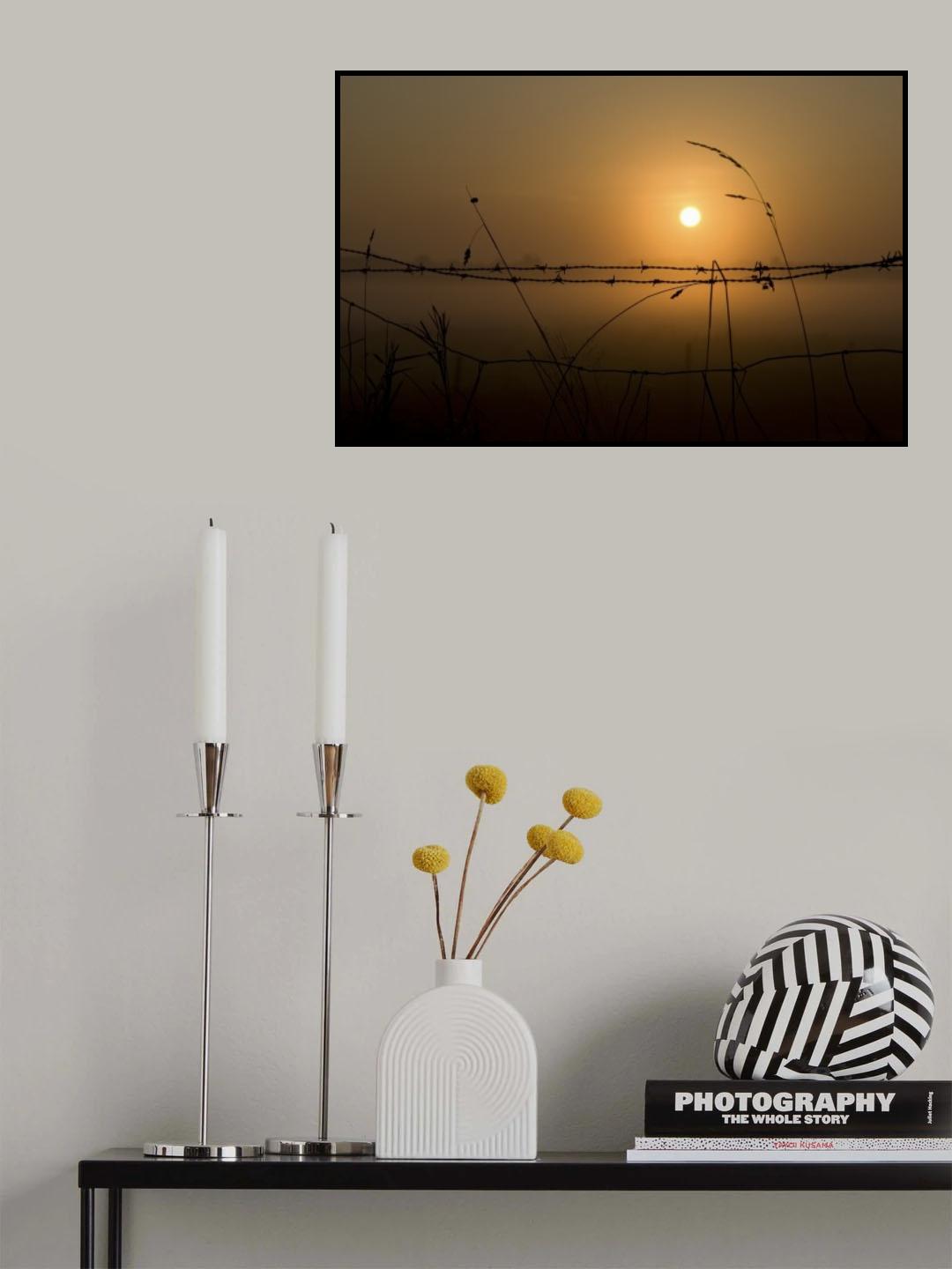 Morning Glow Poster och Canvastavla