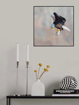 Sorry Poster och Canvastavla
