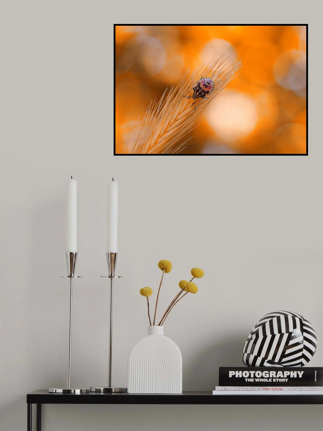 Warm summer colors... Poster och Canvastavla