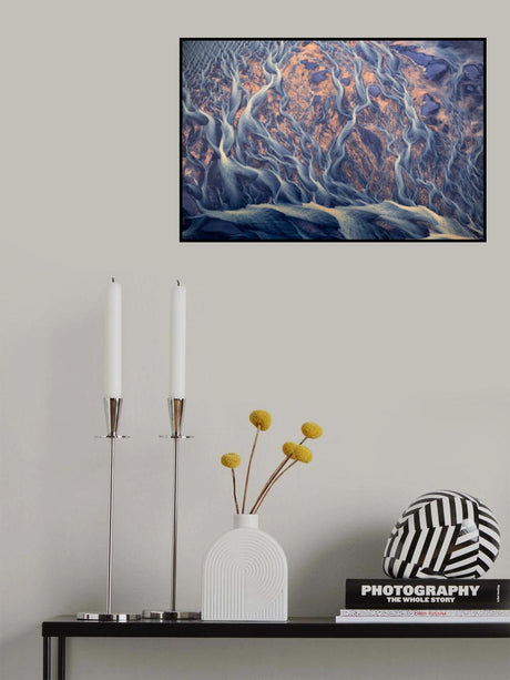 Medusa Poster och Canvastavla