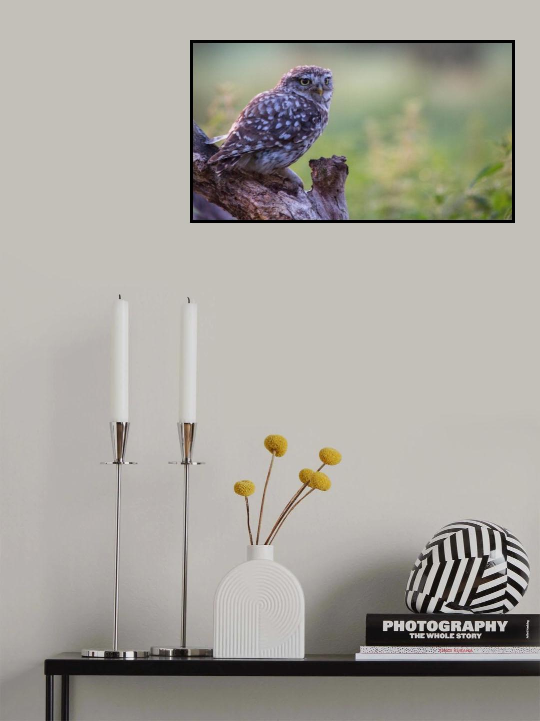 in the meadow Poster och Canvastavla