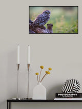 in the meadow Poster och Canvastavla