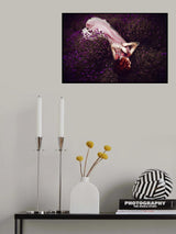 In dreams of lavender fields, dancing in the summer sun, is where I always find her Poster och Canvastavla