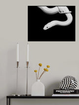 Serpent Blanc Poster och Canvastavla