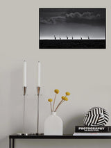 6 Giraffes Poster och Canvastavla