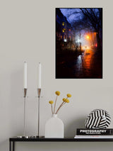through foggy yards Poster och Canvastavla