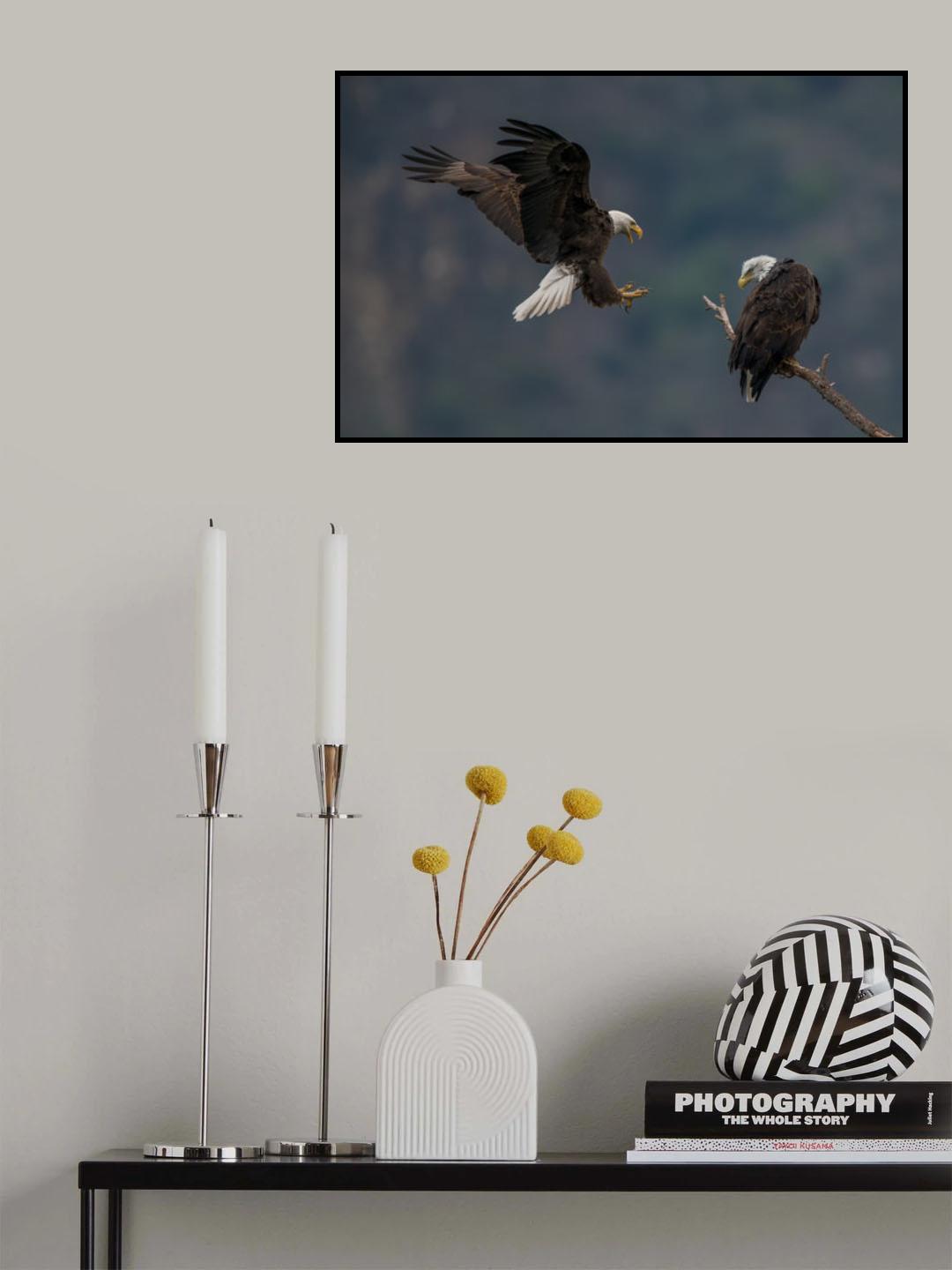 Where have you been? Poster och Canvastavla