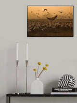 Lord of the Cranes... Poster och Canvastavla