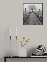 Portrait of a cherry tree Poster och Canvastavla