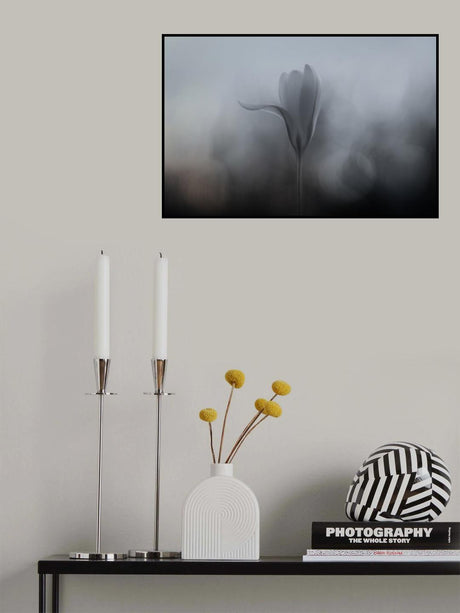 Crocus Poster och Canvastavla