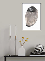 Specimen IX Poster och Canvastavla