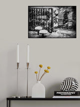 Poster och Canvastavla