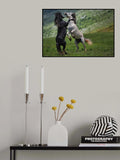 black and white Poster och Canvastavla