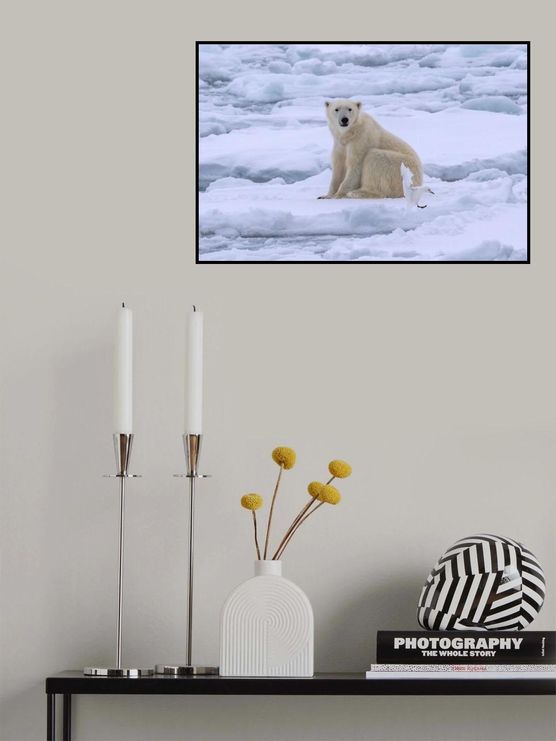 Polar Bear and Ivory Gull on Sea Ice Poster och Canvastavla
