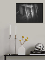 No.61 Poster och Canvastavla