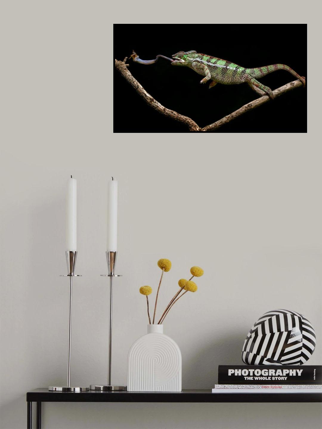 Poster och Canvastavla