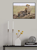 Family Poster och Canvastavla