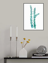 Watercolor eucalyptus branches in teal Poster och Canvastavla