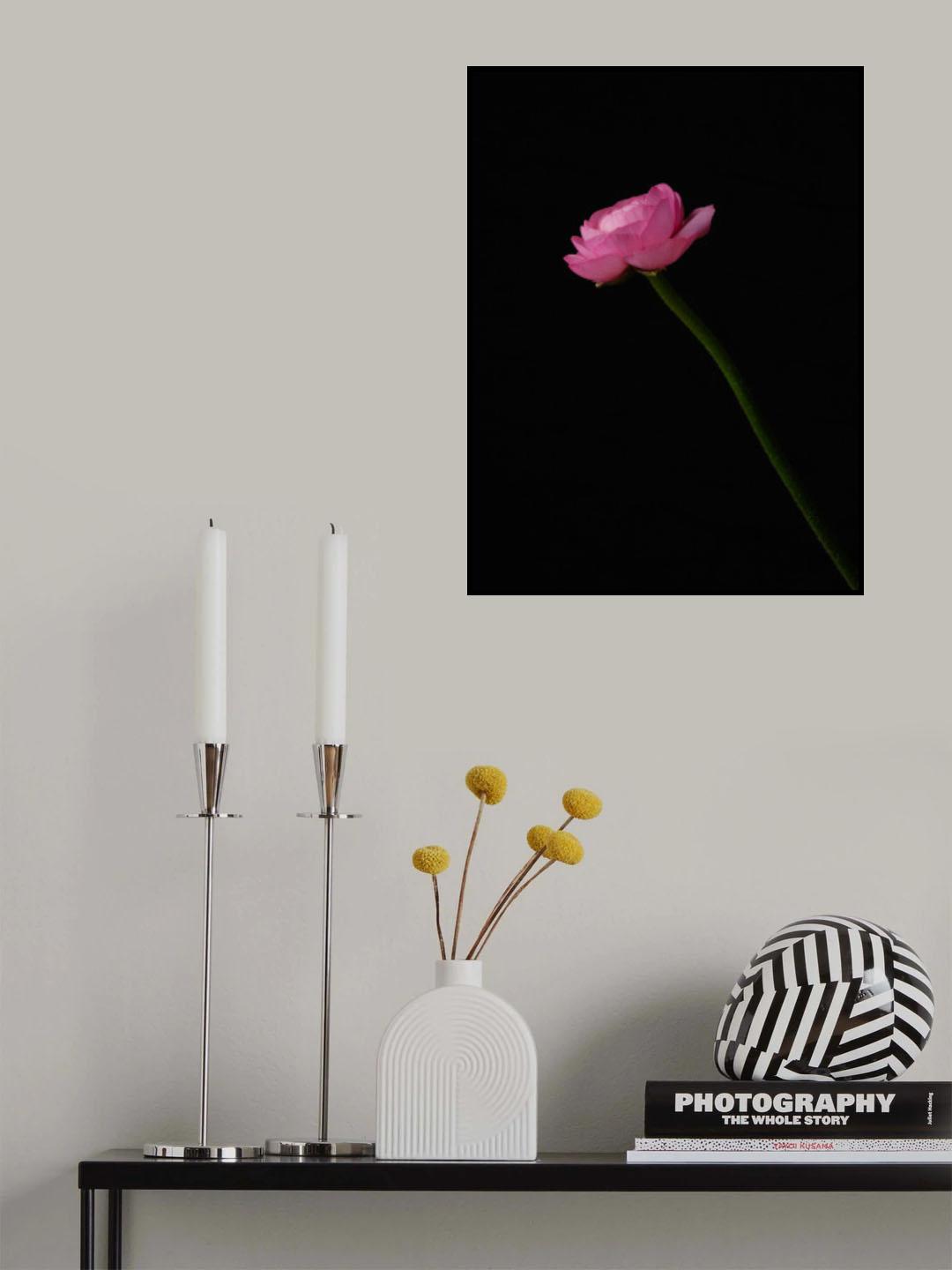 pink flower Poster och Canvastavla