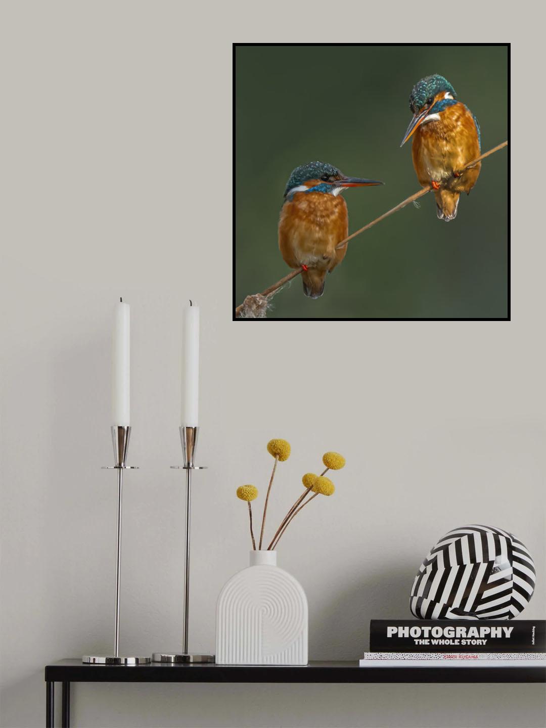 Cute duo Poster och Canvastavla