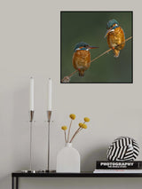 Cute duo Poster och Canvastavla