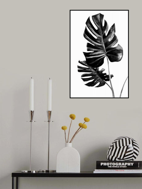 Monstera Black and White 01 Poster och Canvastavla