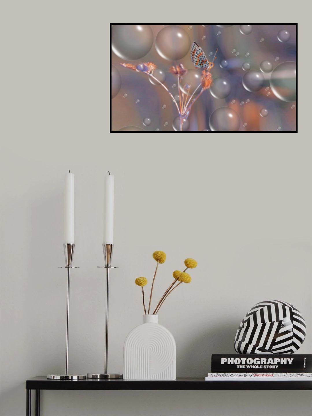 Getting up close to the stars... Poster och Canvastavla