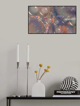 Getting up close to the stars... Poster och Canvastavla