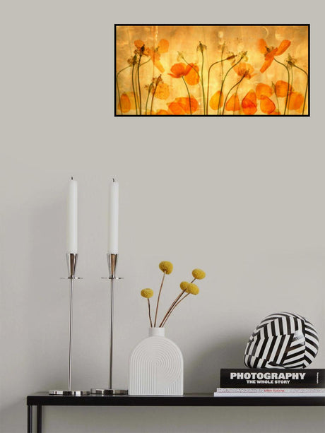 the stadia of poppies Poster och Canvastavla