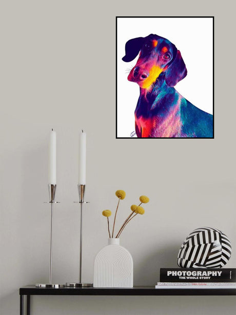 Finn Dog Poster och Canvastavla