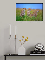 Focused on the target Poster och Canvastavla