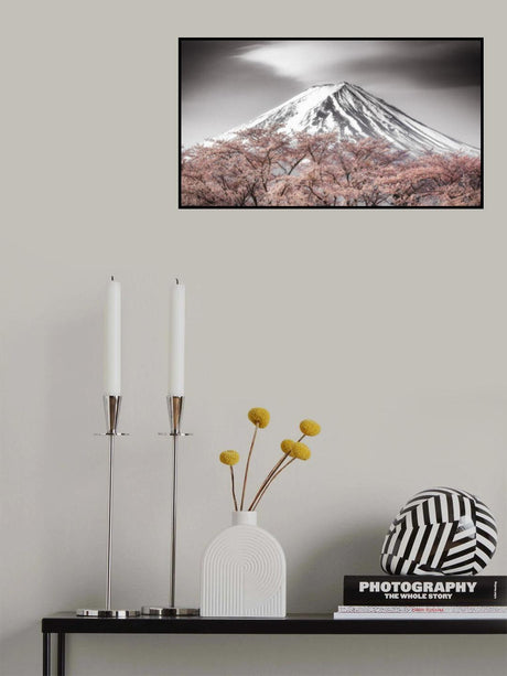 Sakura Fuji Poster och Canvastavla