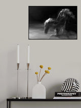 Mystification Poster och Canvastavla