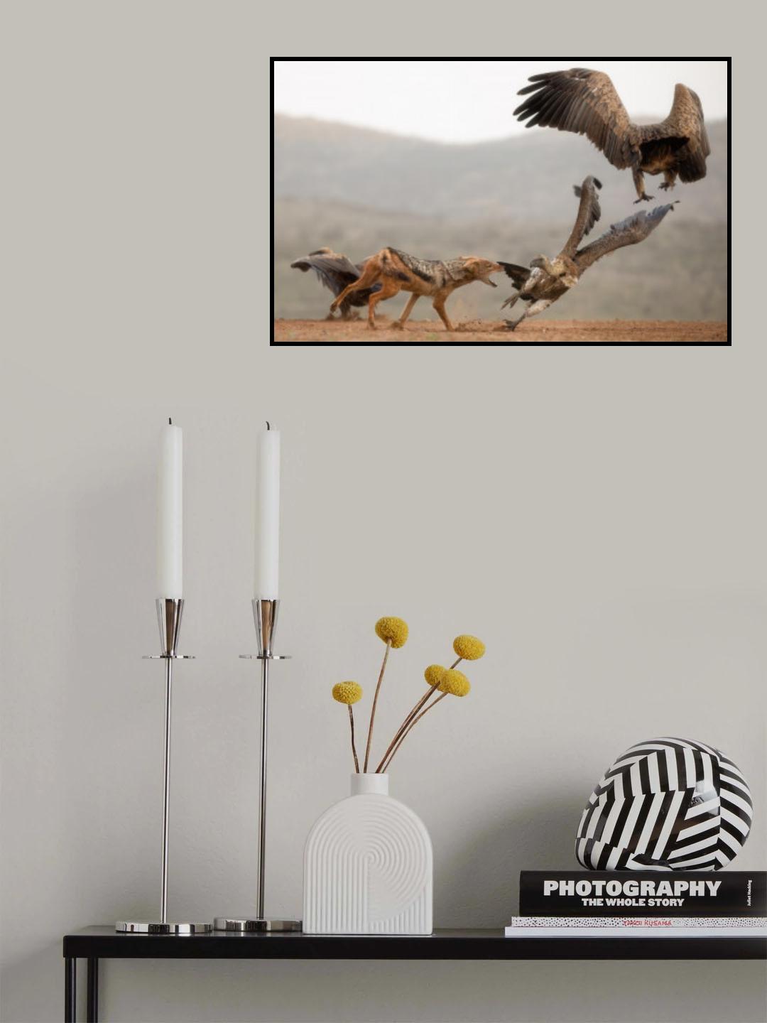 '...Get out of my territory...' Poster och Canvastavla