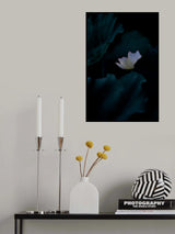 Night Lantern Poster och Canvastavla