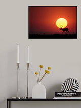 An African Sunset Poster och Canvastavla