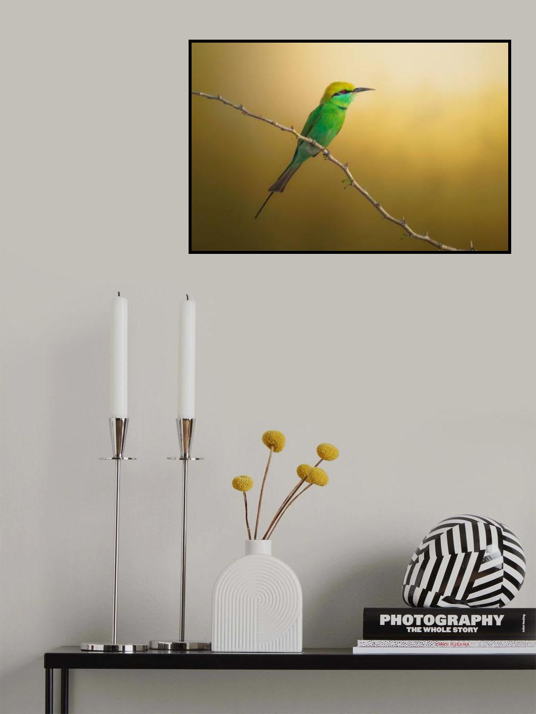 Little Bee-eater Poster och Canvastavla