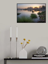 Moorland Poster och Canvastavla