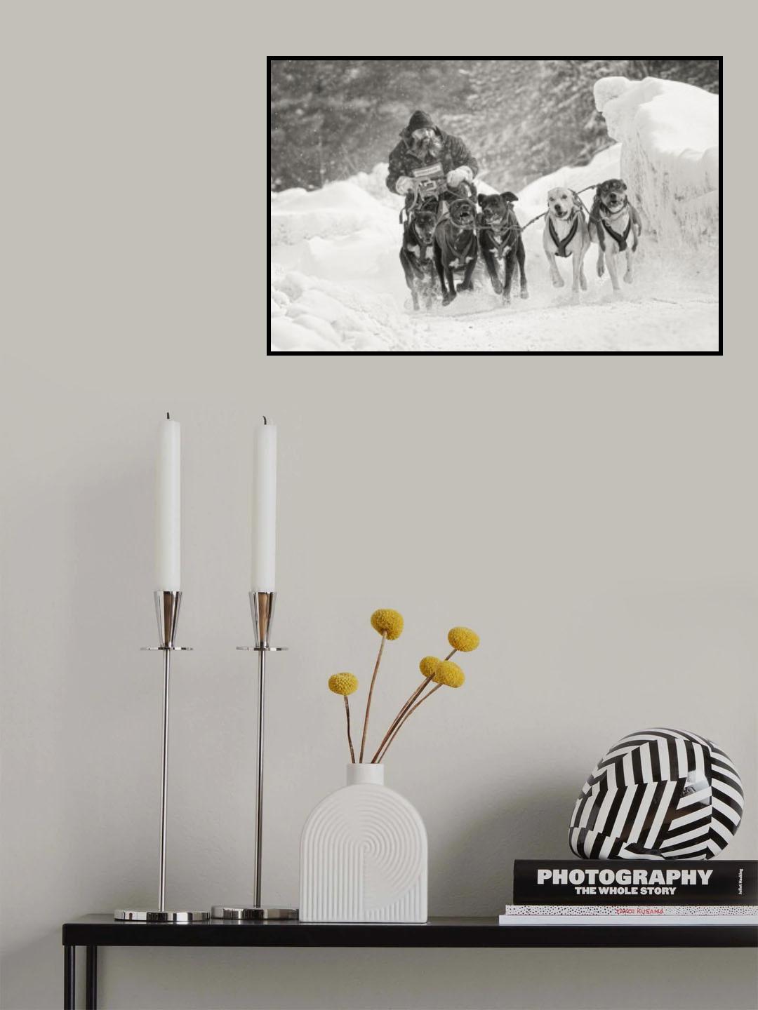 Winter sport Poster och Canvastavla