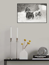 Winter sport Poster och Canvastavla