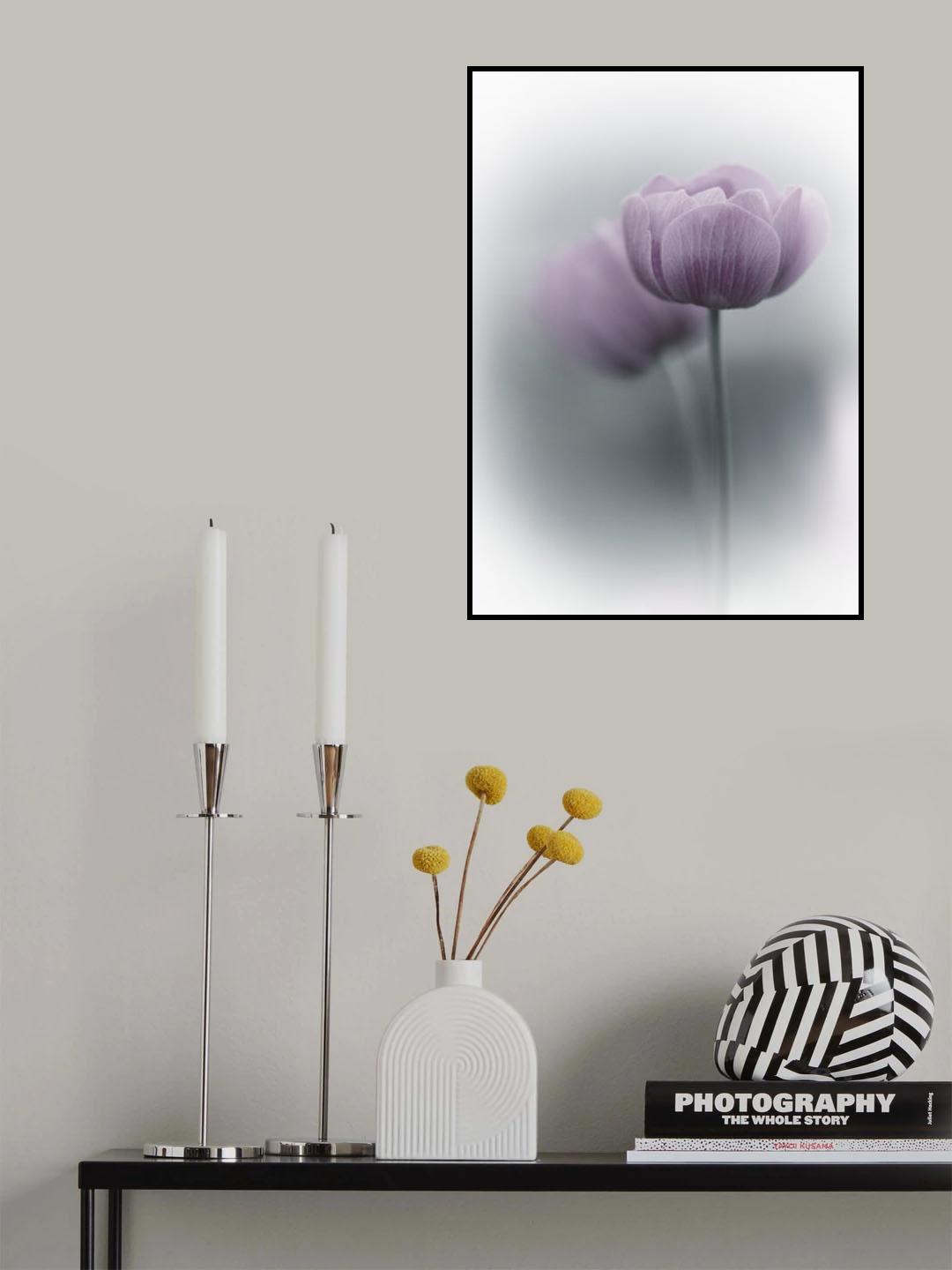 Purple Tulip Poster och Canvastavla
