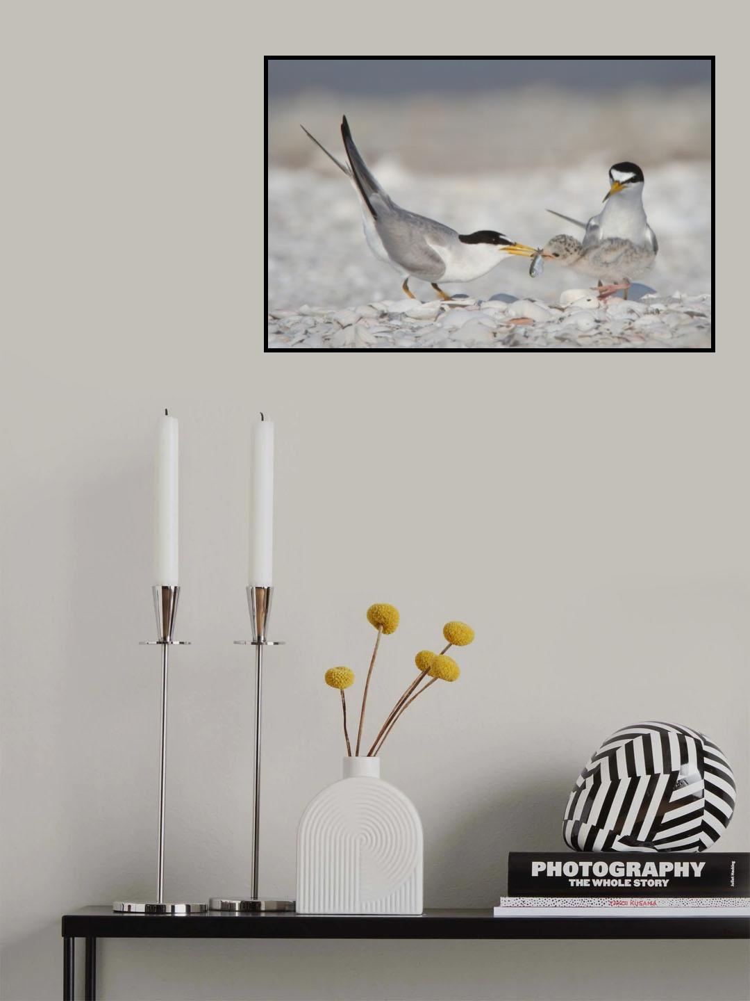 Feeding Poster och Canvastavla