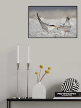 Feeding Poster och Canvastavla