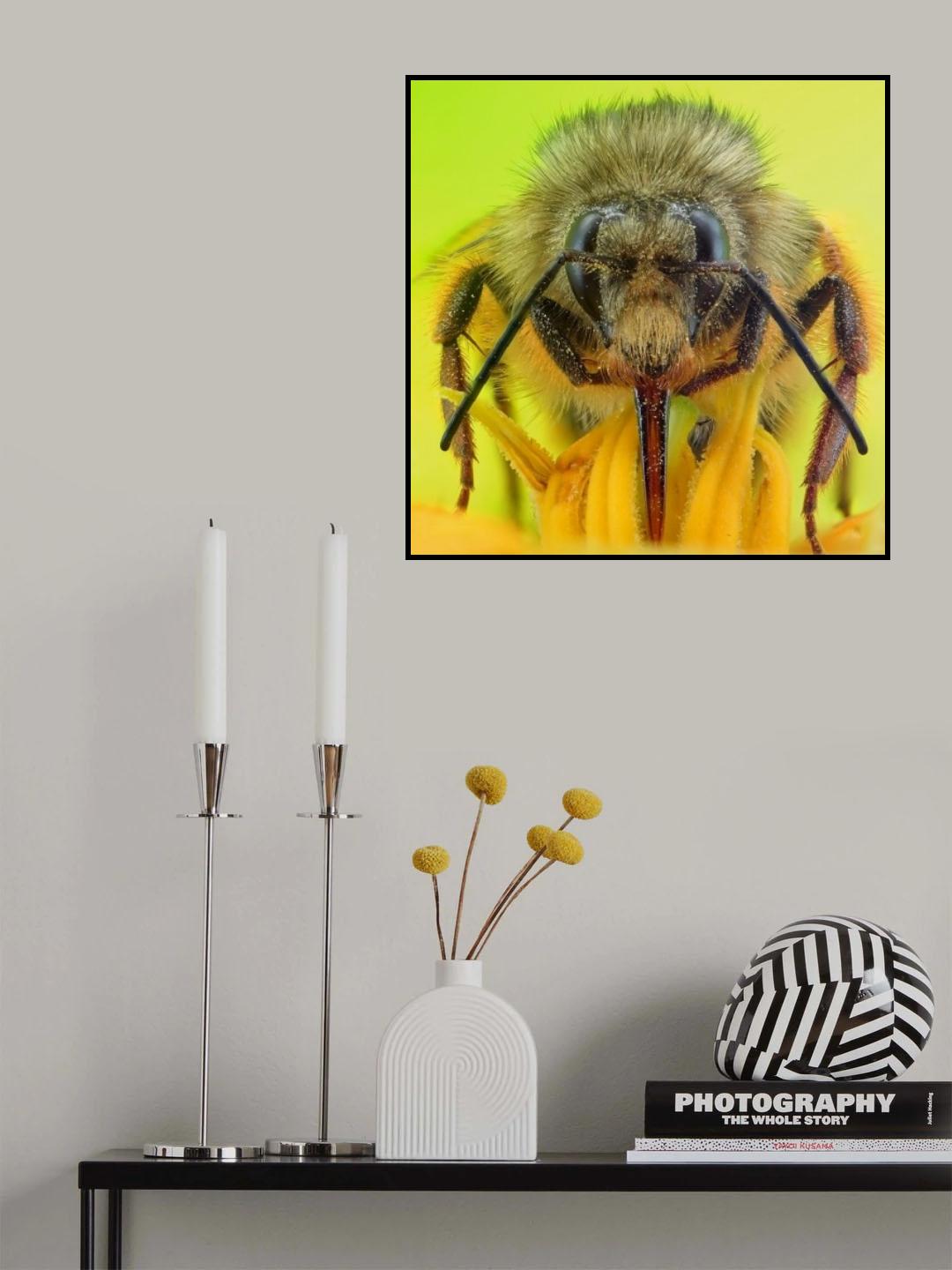 the bee portrait Poster och Canvastavla