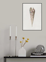 Mollusks Crop III Poster och Canvastavla