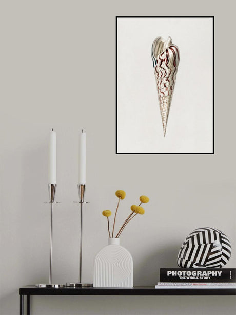 Mollusks Crop III Poster och Canvastavla