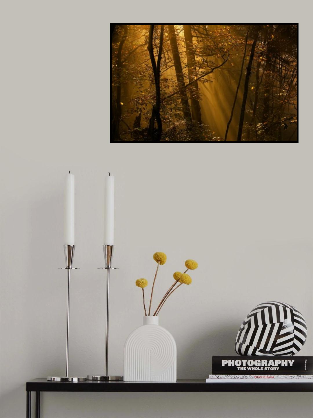 Morning Rays Poster och Canvastavla