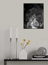 forest walk Poster och Canvastavla