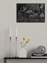Life Is A Miracle Poster och Canvastavla