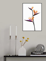 Bird of paradise in black Poster och Canvastavla
